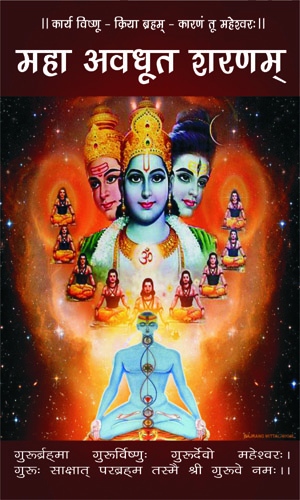 Maha Avdhoot Sharnam Book Image